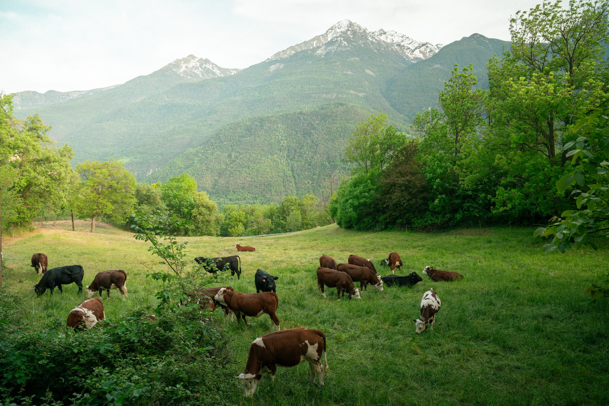 landscape-15