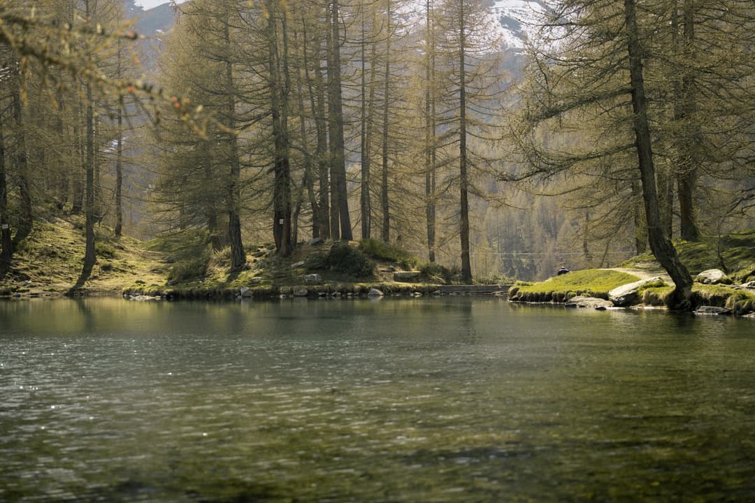 landscape-16.jpg