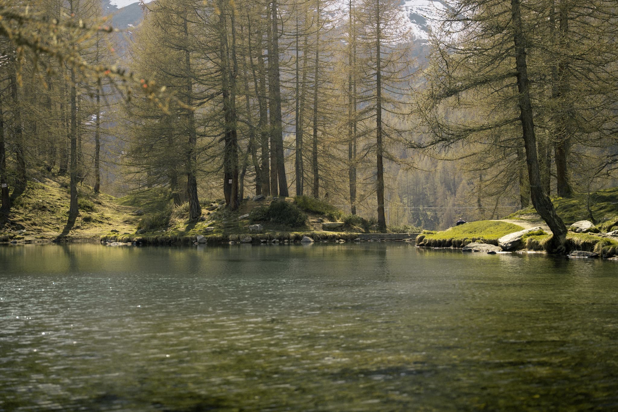 landscape-16